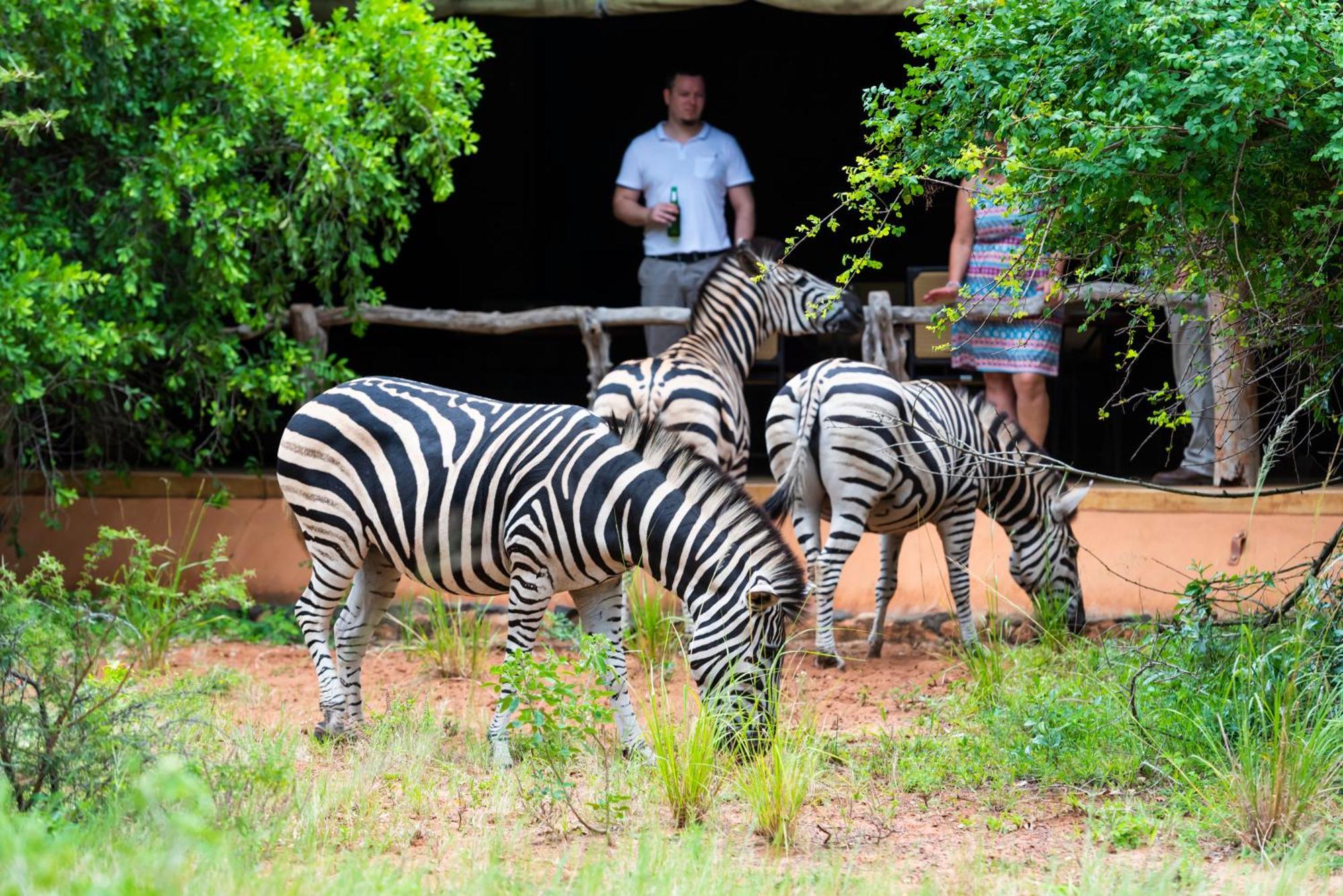 Leopard Walk Lodge Hluhluwe Exterior foto